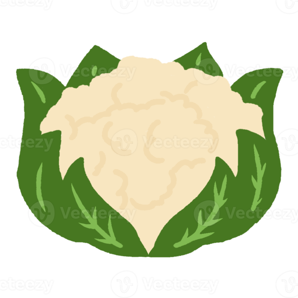 Cauliflower Healty Food png