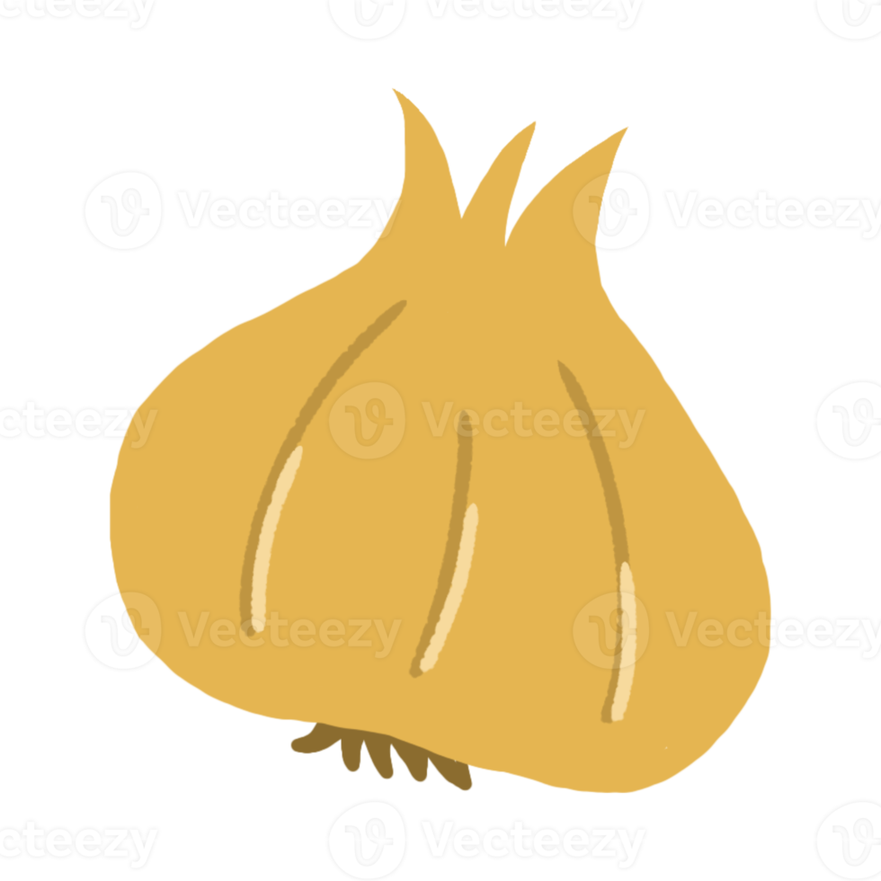 Garlic Vegetable Clipart png
