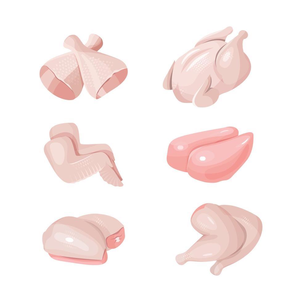 Raw chicken wings, carcass, thighs, legs, fillets vector