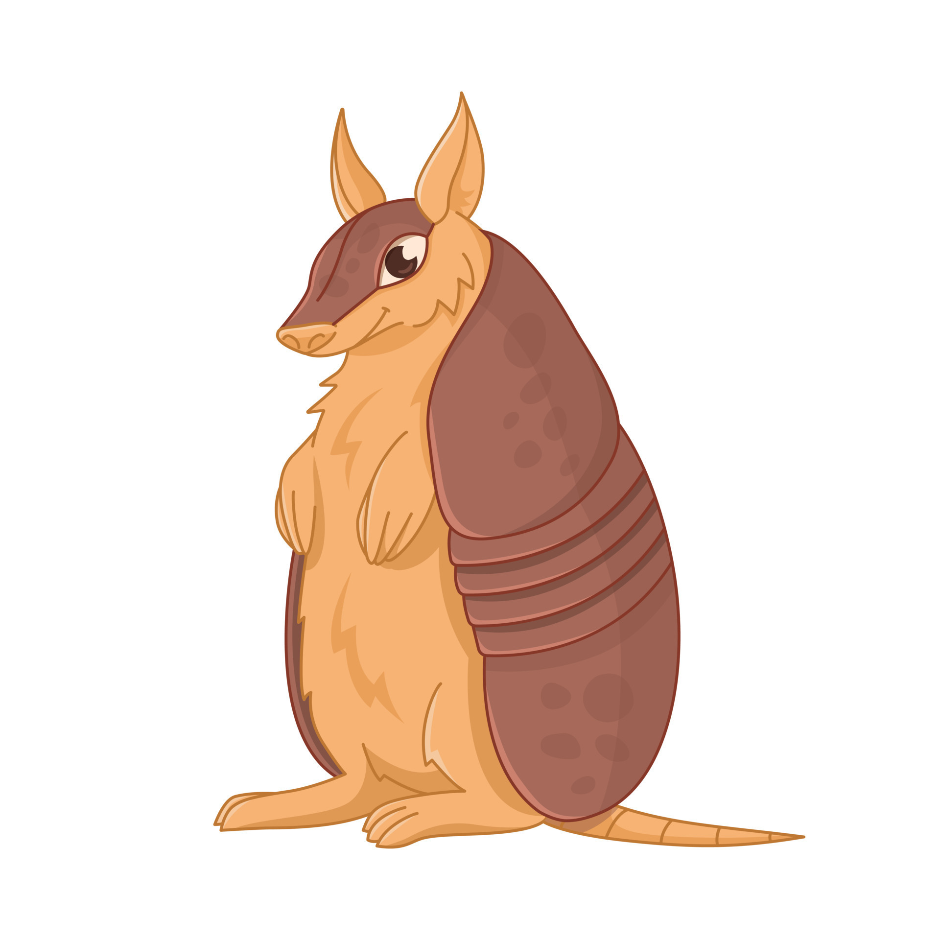 Cartoon cute armadillo standing. Funny character isolated on white
