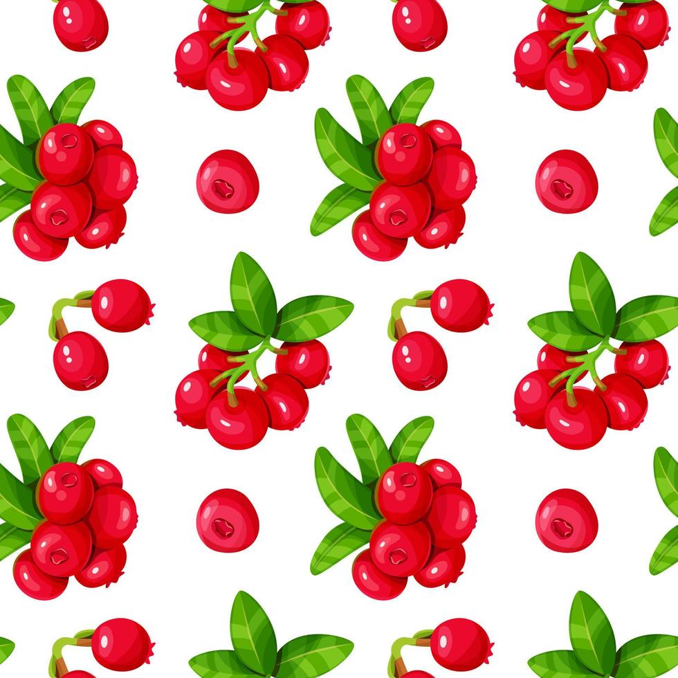 Lingonberry and leaves seamless pattern. vector