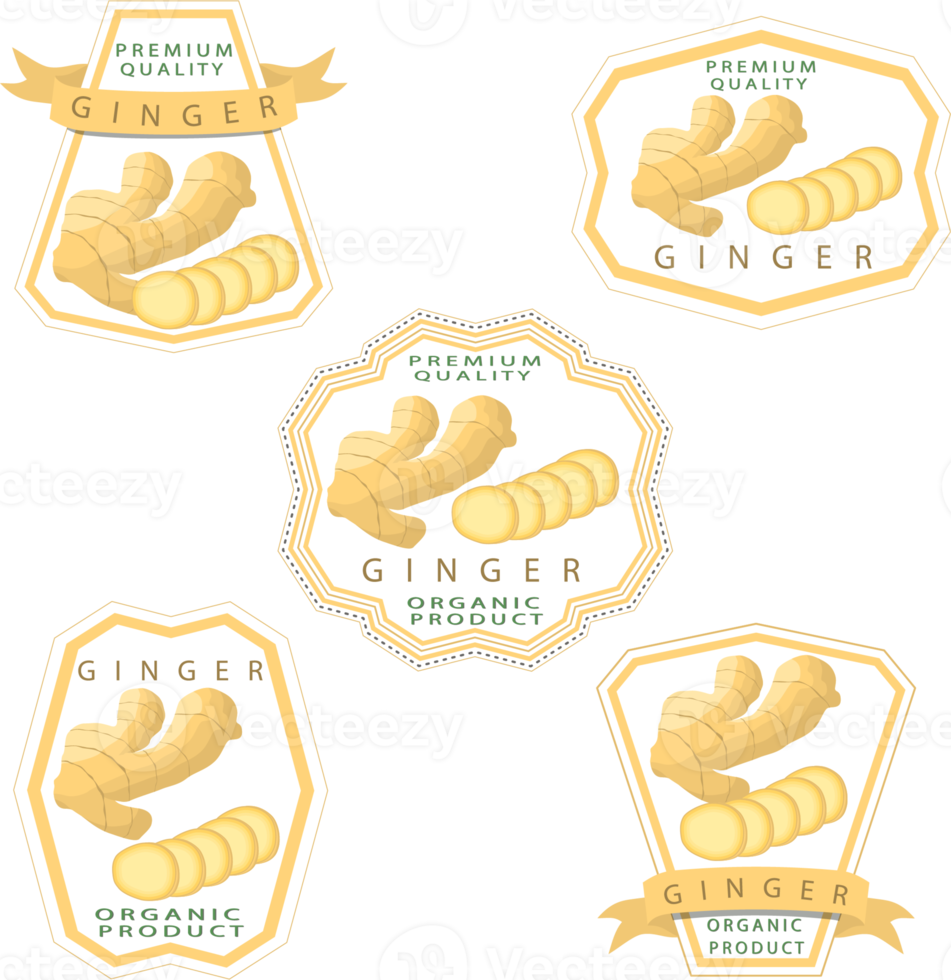 Sweet juicy tasty natural eco product ginger png