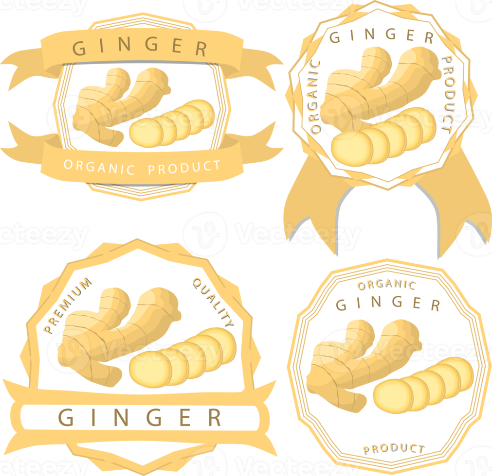 Sweet juicy tasty natural eco product ginger png