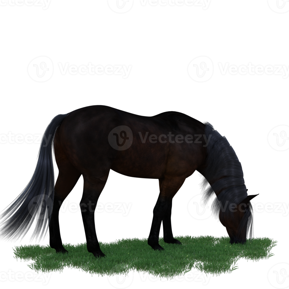 Horse pose illustration 3d rendering png