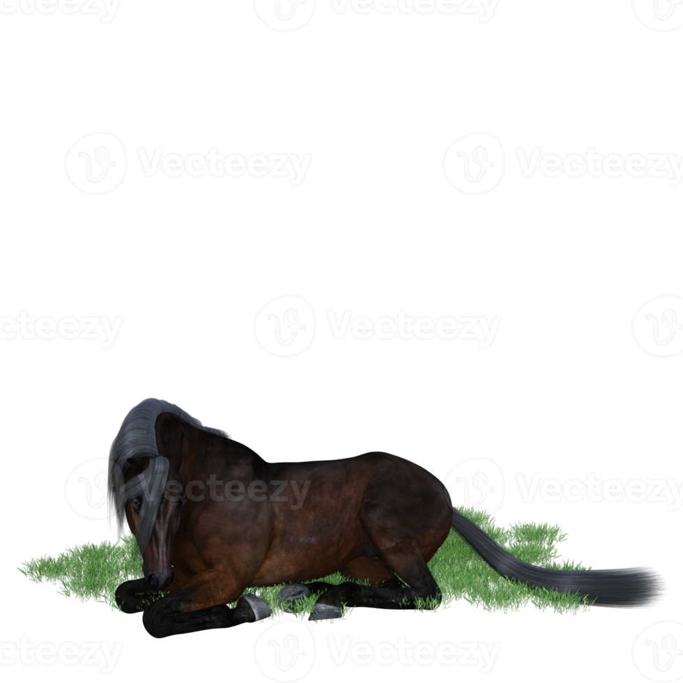 Horse pose illustration 3d rendering png