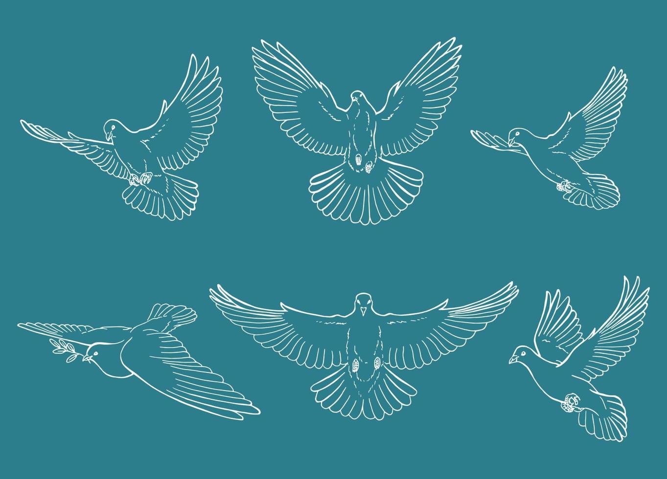 Set of dove outline. Line art style isolated. Hand drawn vector illustration.