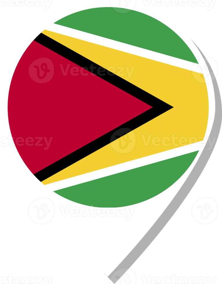 Guyana flag check-in icon. png