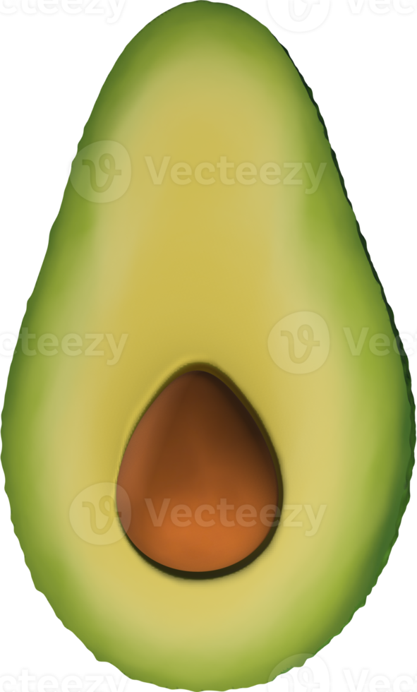 3D Avocado fruit Illustration. png