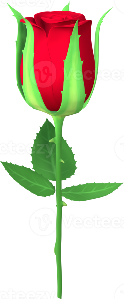Rose flower 3D Illustration. png