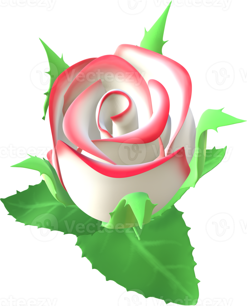 Rose flower 3D Illustration. png