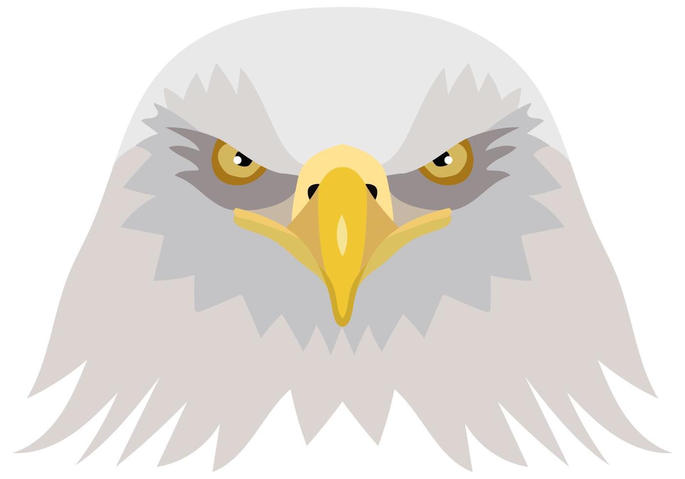 Vector illustration of the head of an American bald eagle. foreground. Vector graphics isolated on white background
