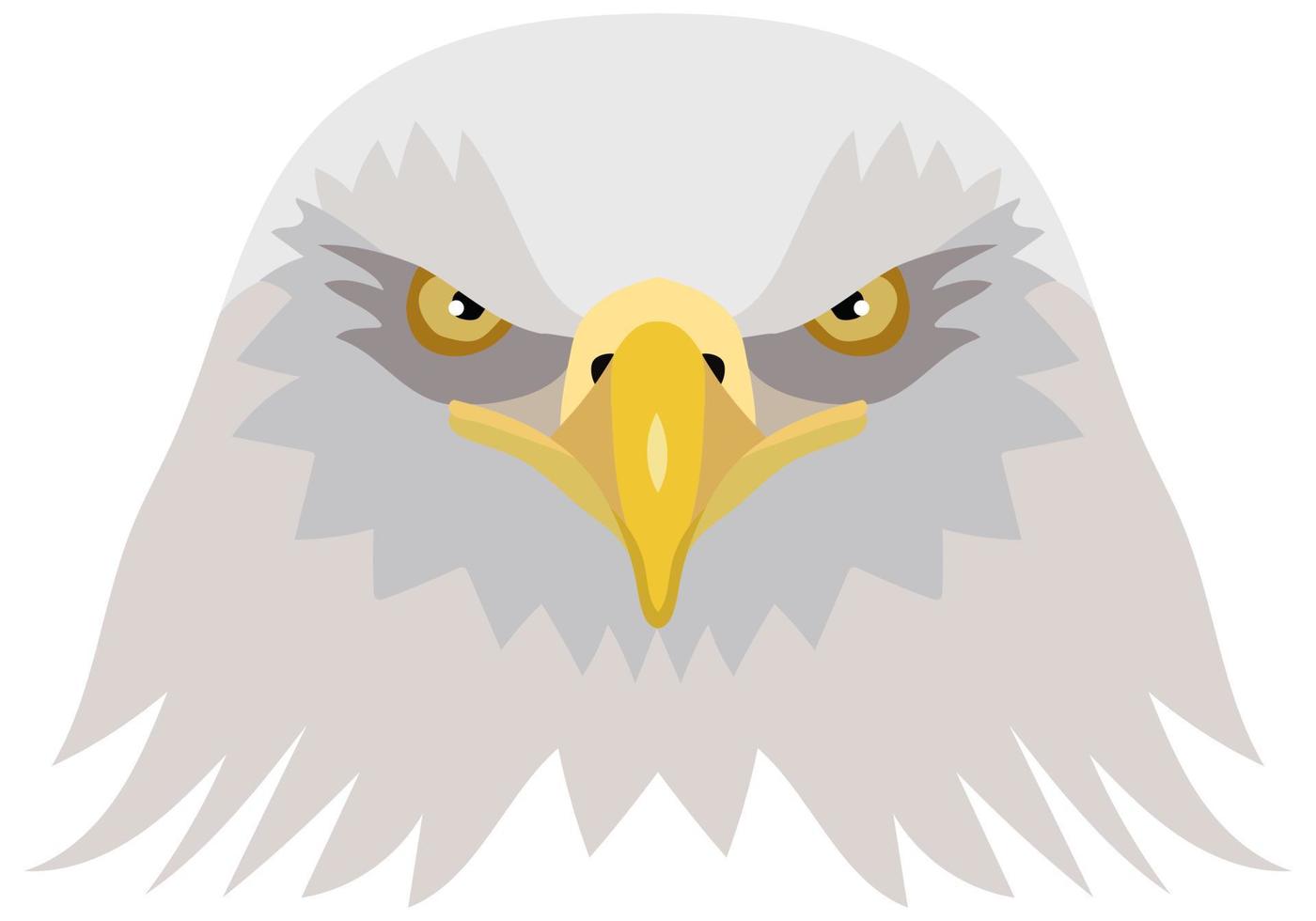 Vector illustration of the head of an American bald eagle. foreground. Vector graphics isolated on white background