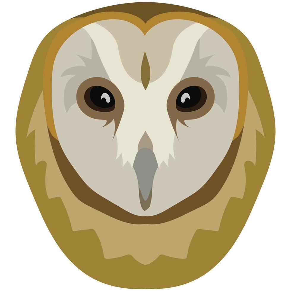 Cute Barn Owl face vector illustration in decorative style, perfect for tshirt design and mascot logo