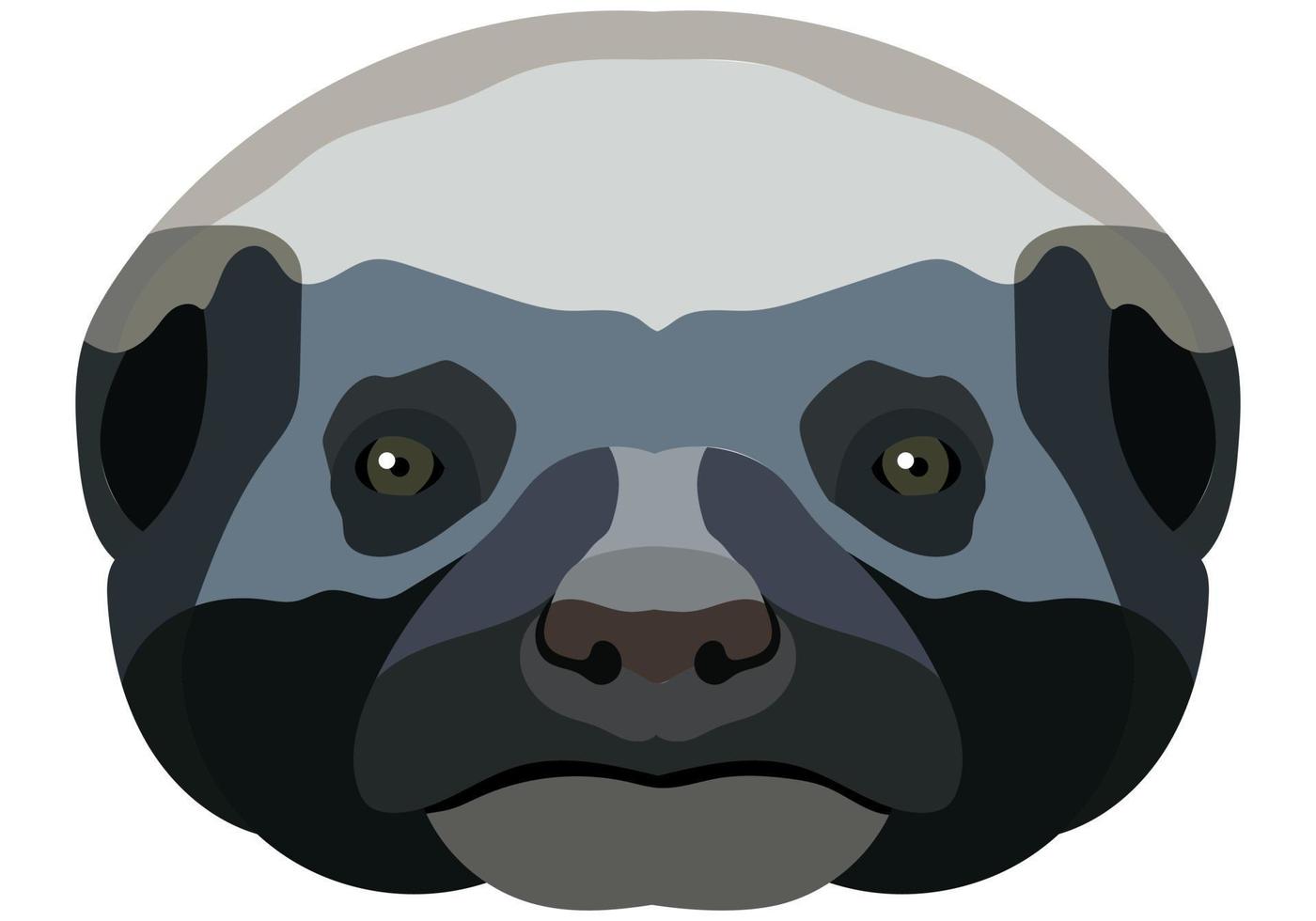Vector Illustrated portrait of a honey badger. Cute Ratel face isolated on white background.