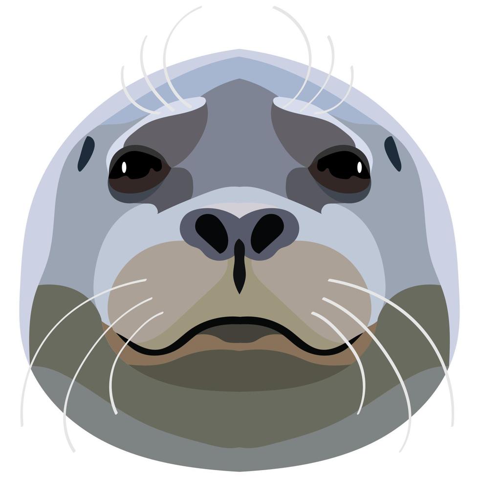 Cute head of a fur seal with a mustache close-up. Isolated on white background. vector