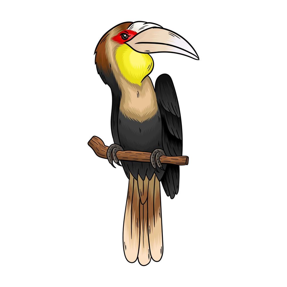 vector Golden Hornbill, this unique bird has a large beak
