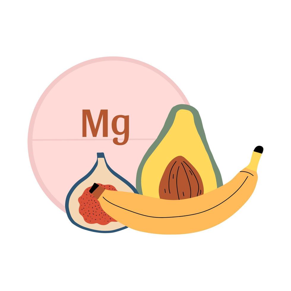 alimentos que contienen magnesio. tableta mg y aguacate, higo y plátano en estilo plano. ilustración vectorial vector