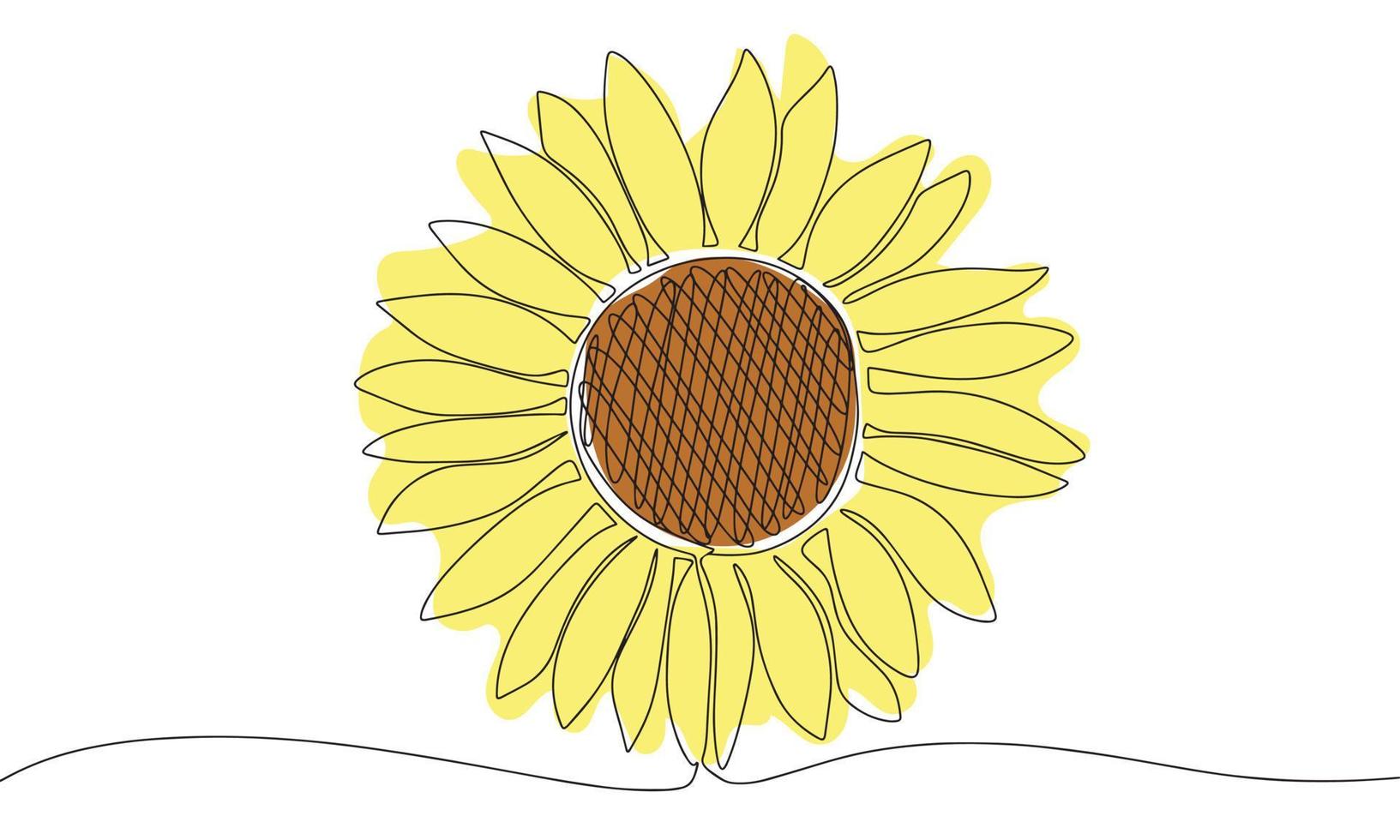 Hand draw sunflower with color. Vector illustration. One continuous line. Line art.