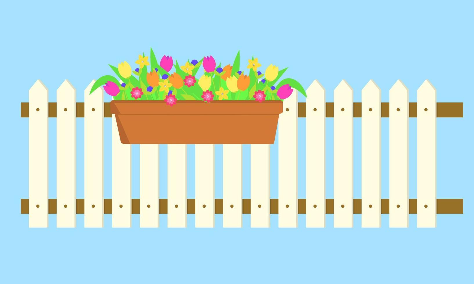 Spring flower in long pot on white fence. Vector illustration.