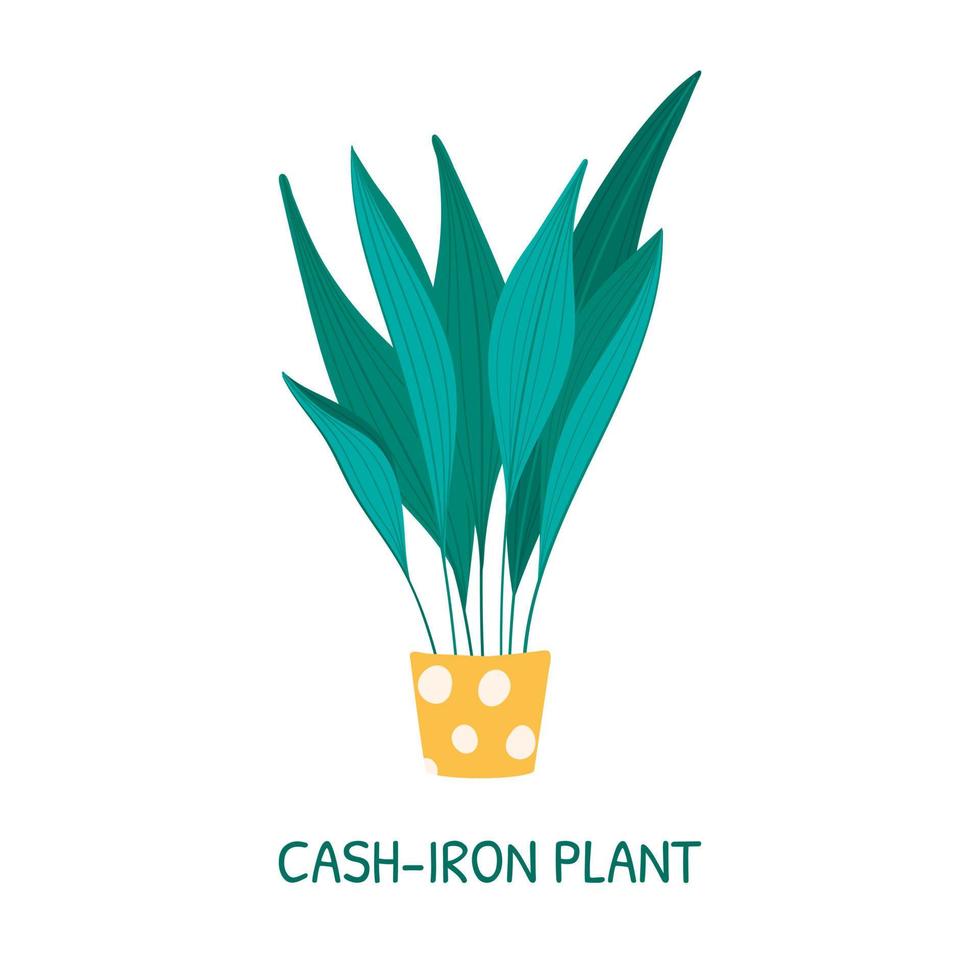 planta de interior en maceta aspidistra alta o cash iron. vector