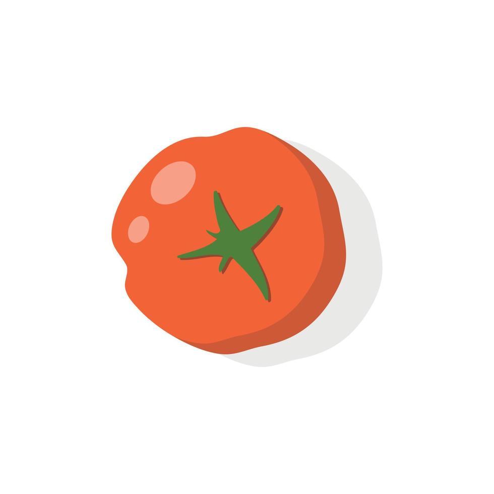 Ripe red tomato, top view, vector isolated illustration.