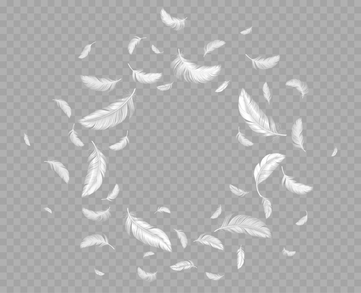 Feathers frame, round border of white fluffy down vector