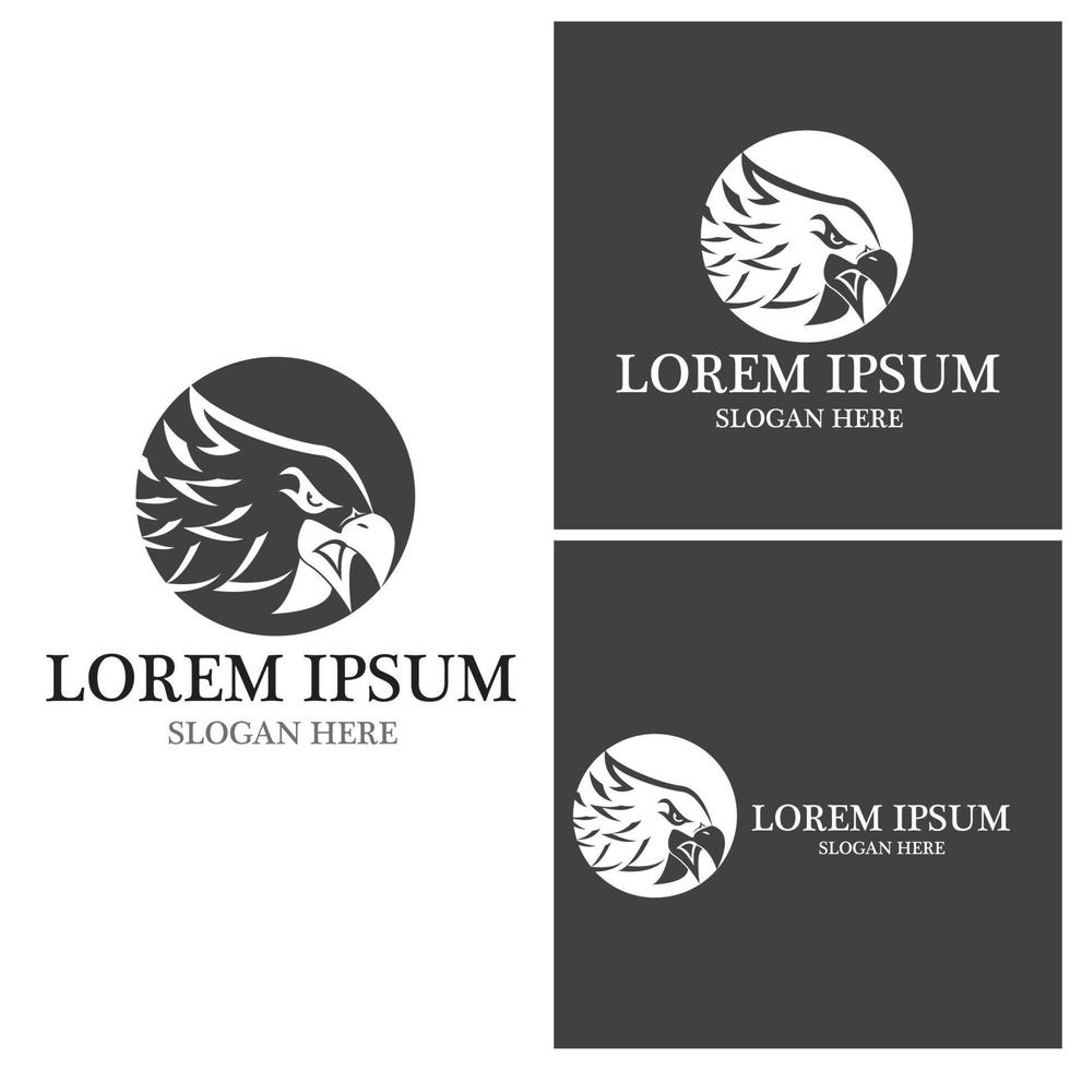 Falcon Logo Template vector
