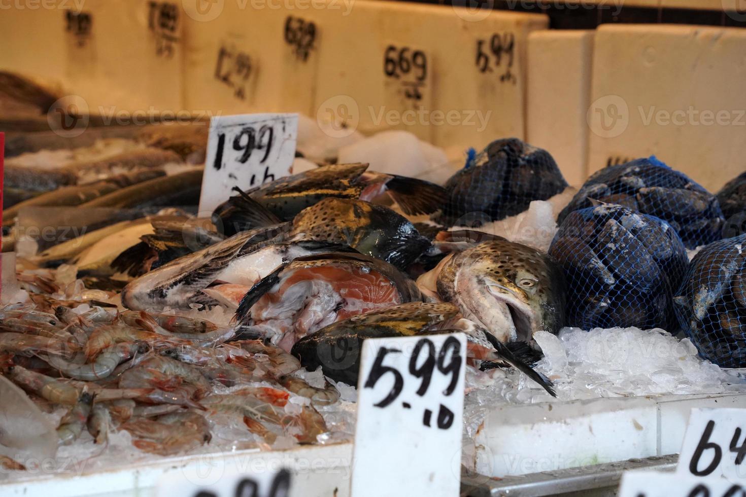 new york chinatown fish market photo