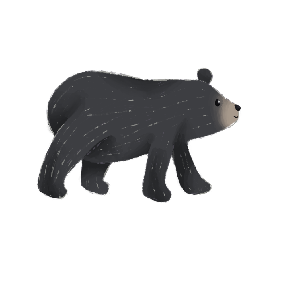 carino nero orso, acquerello mano disegnato tipo. png