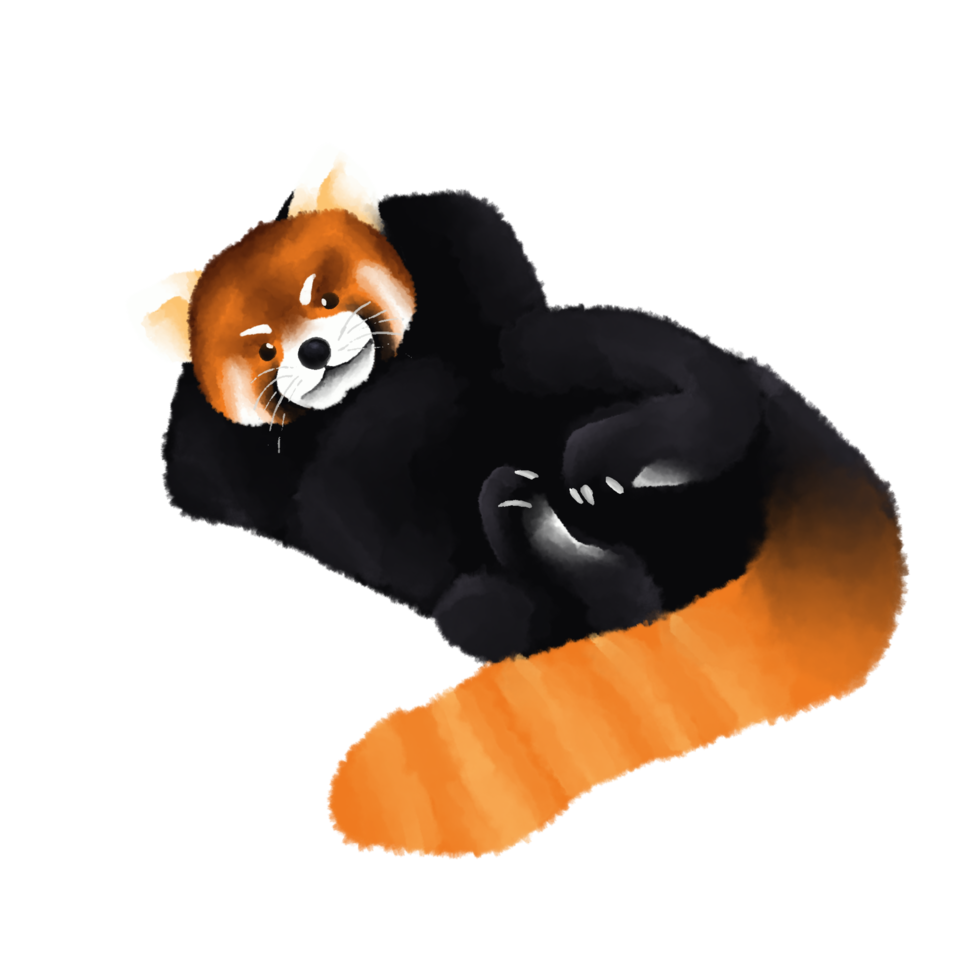 Cute red panda or Chinese bear character watercolor hand drawn. png