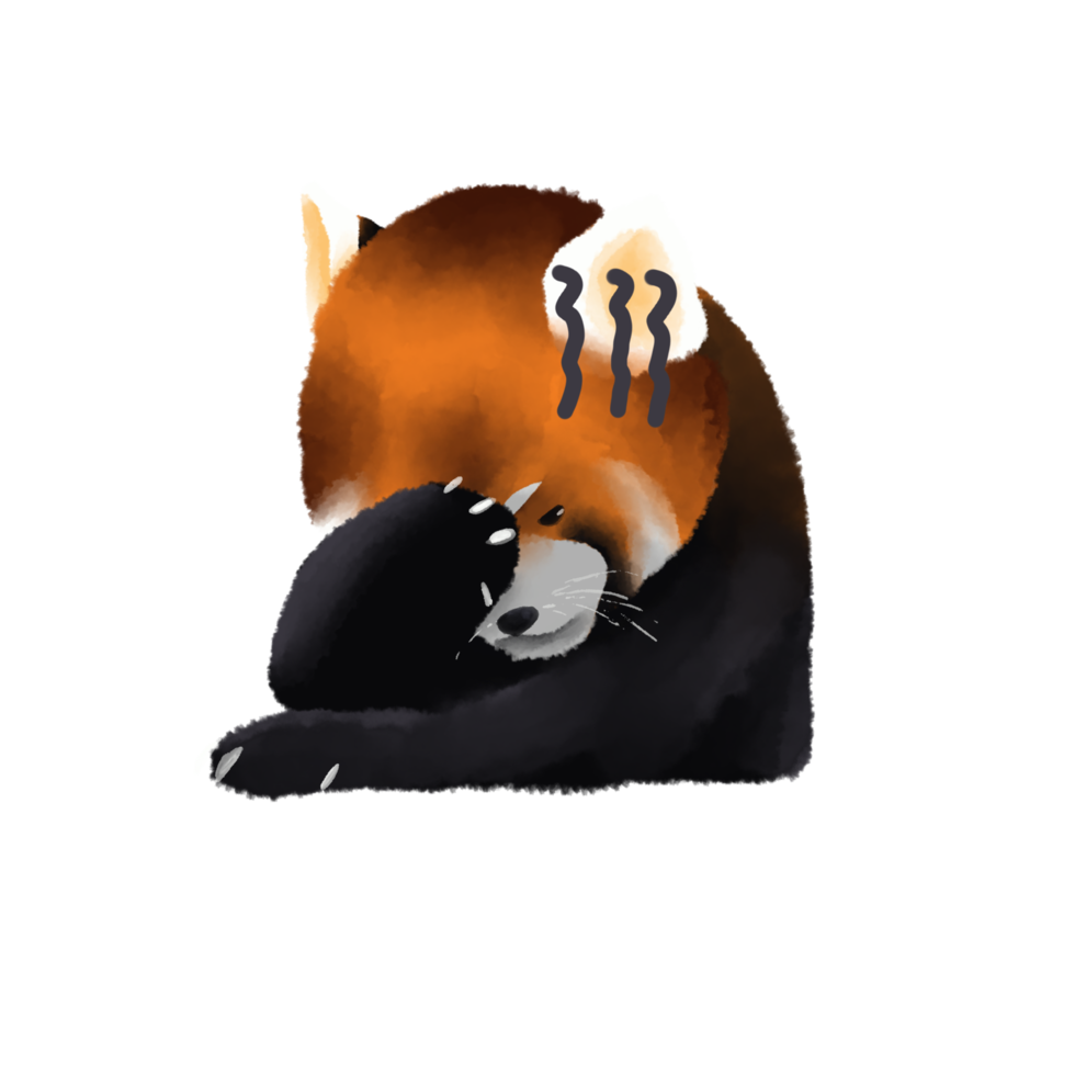 niedlicher roter panda oder chinesischer bär charakter aquarell handgezeichnet. png