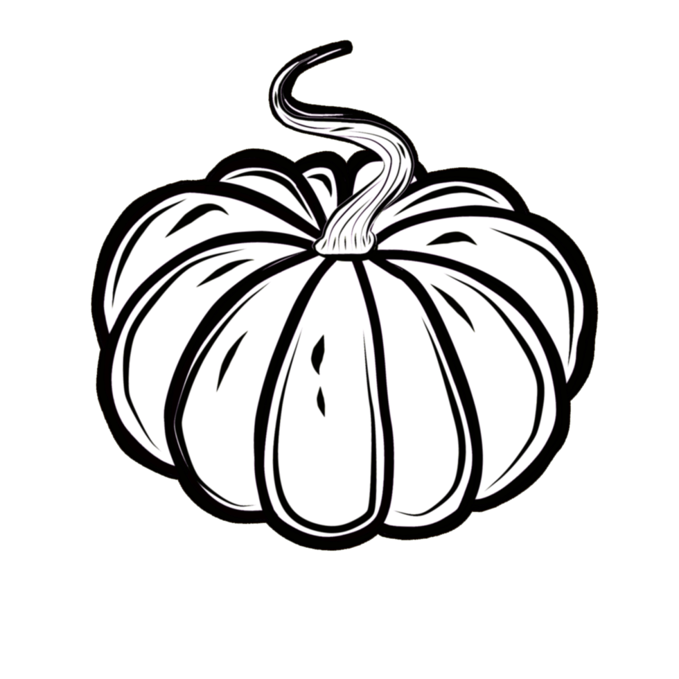 Pumpkin black, white, orange.  PNG illustration with transparent background.