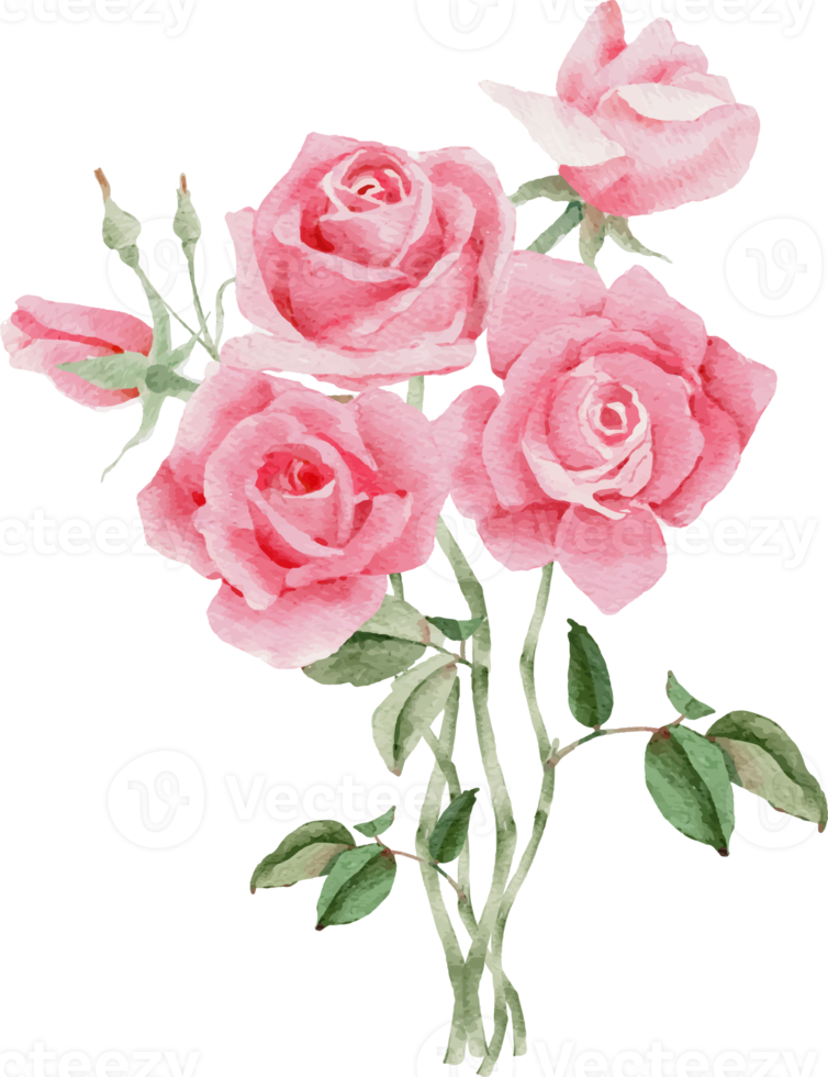 watercolor pink rose flower bouquet for valentines day png