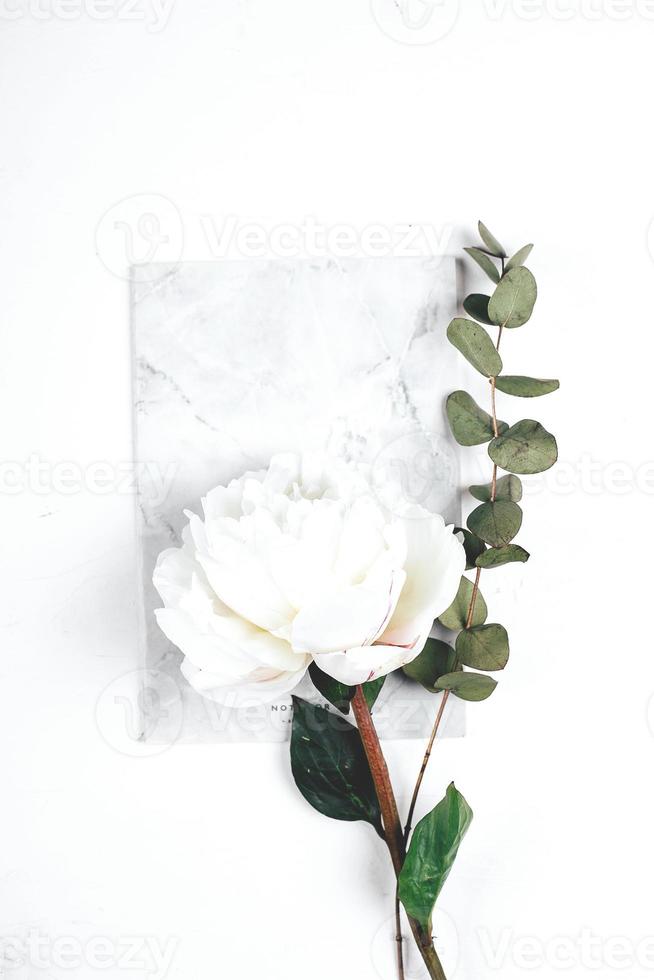 Notebook, flowers white peony and sprig of eucalyptus on white background. Cozy, still life, minimal concept. Top view, flat lay, copy space photo
