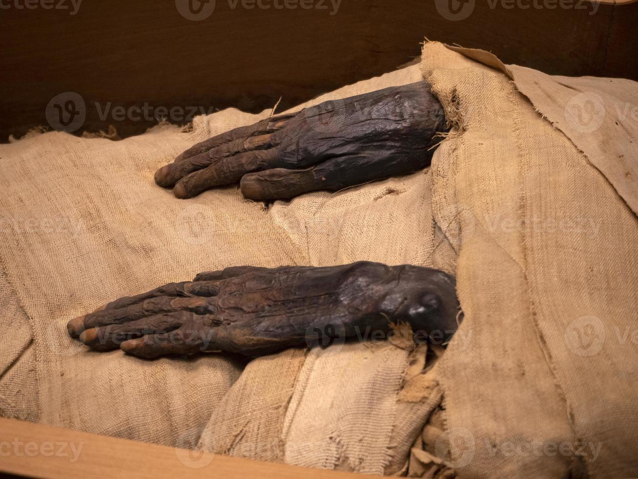 Egyptian mummy hands close up detail photo
