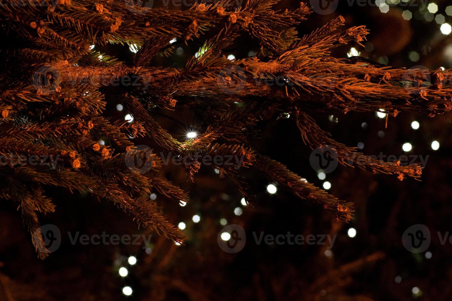 christmas tree branches detail with lights photo