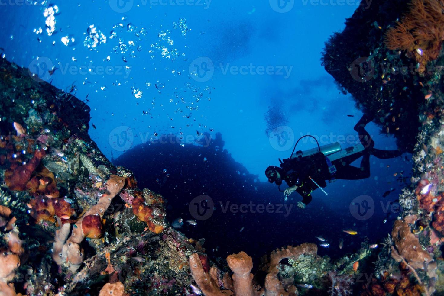 Scuba diver underwater near giant sponge in the ocean photo