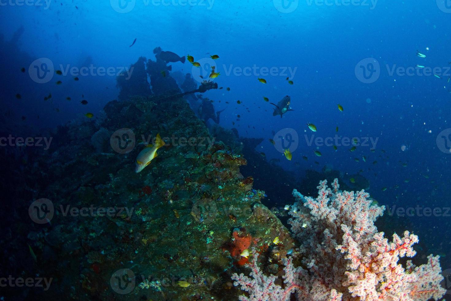 Ship Wreck in maldives indian ocean photo