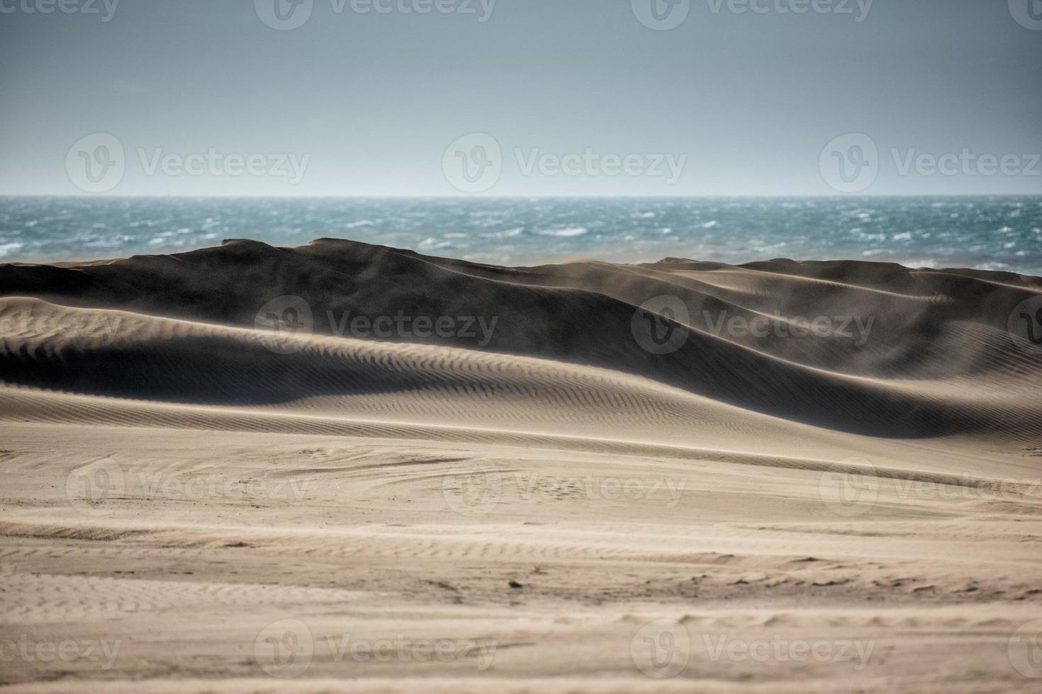 dunas de arena de la playa del desierto en un día ventoso foto