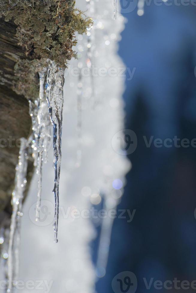 Ice crystals on wood roof photo