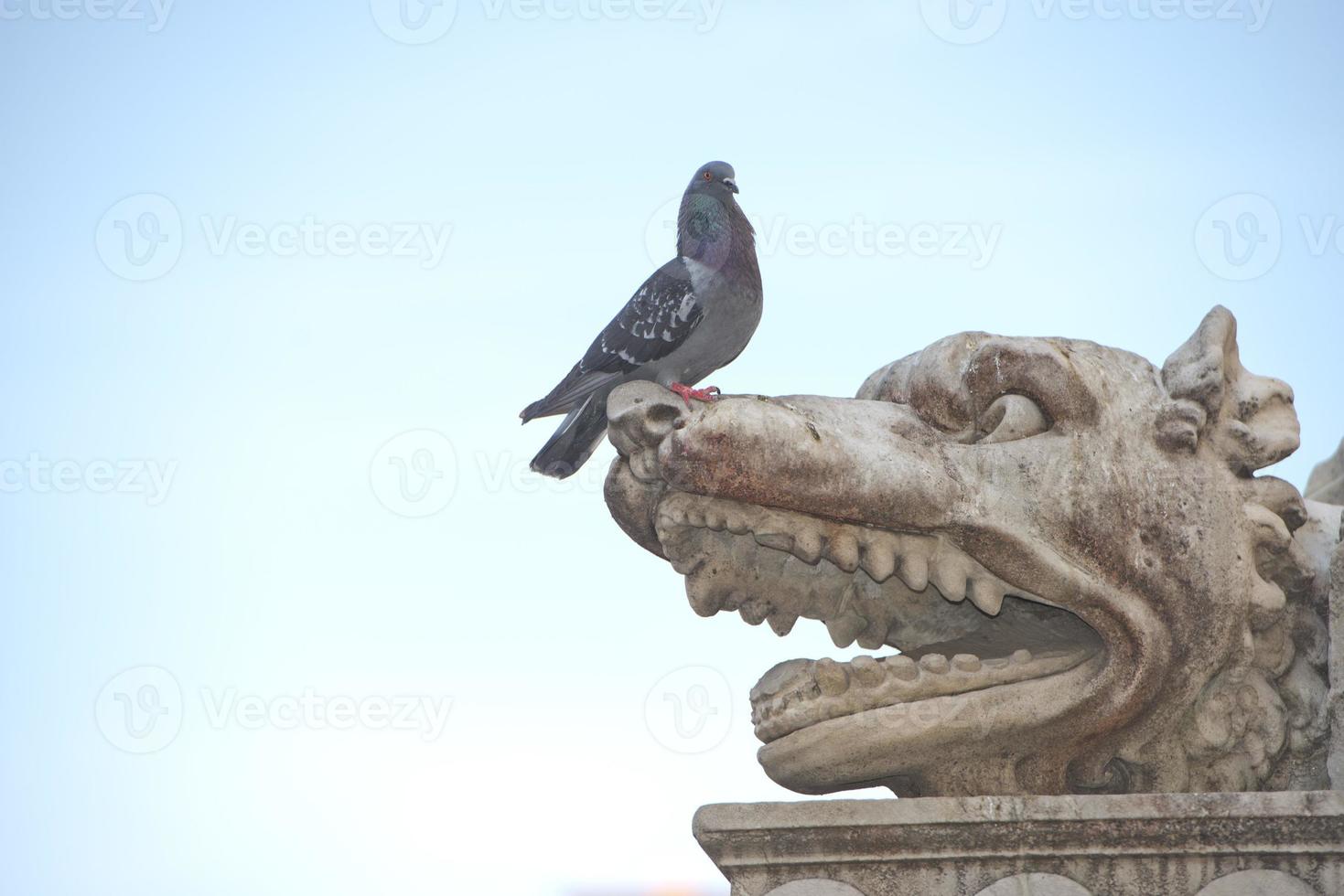 Florence Piazza della Signoria marble Statue photo