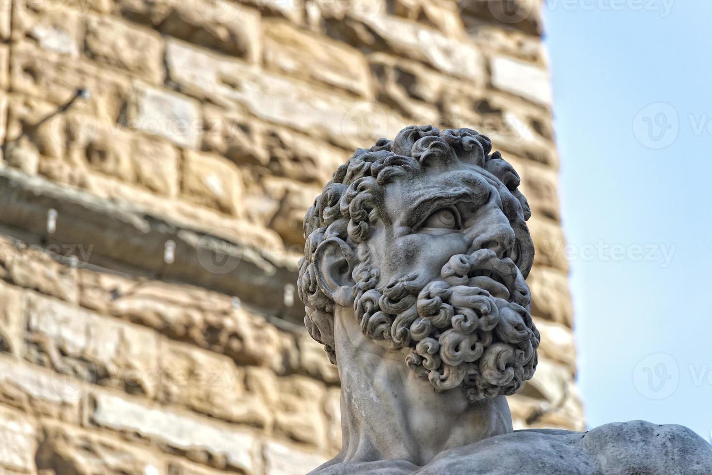 Florence Piazza della Signoria Statue photo