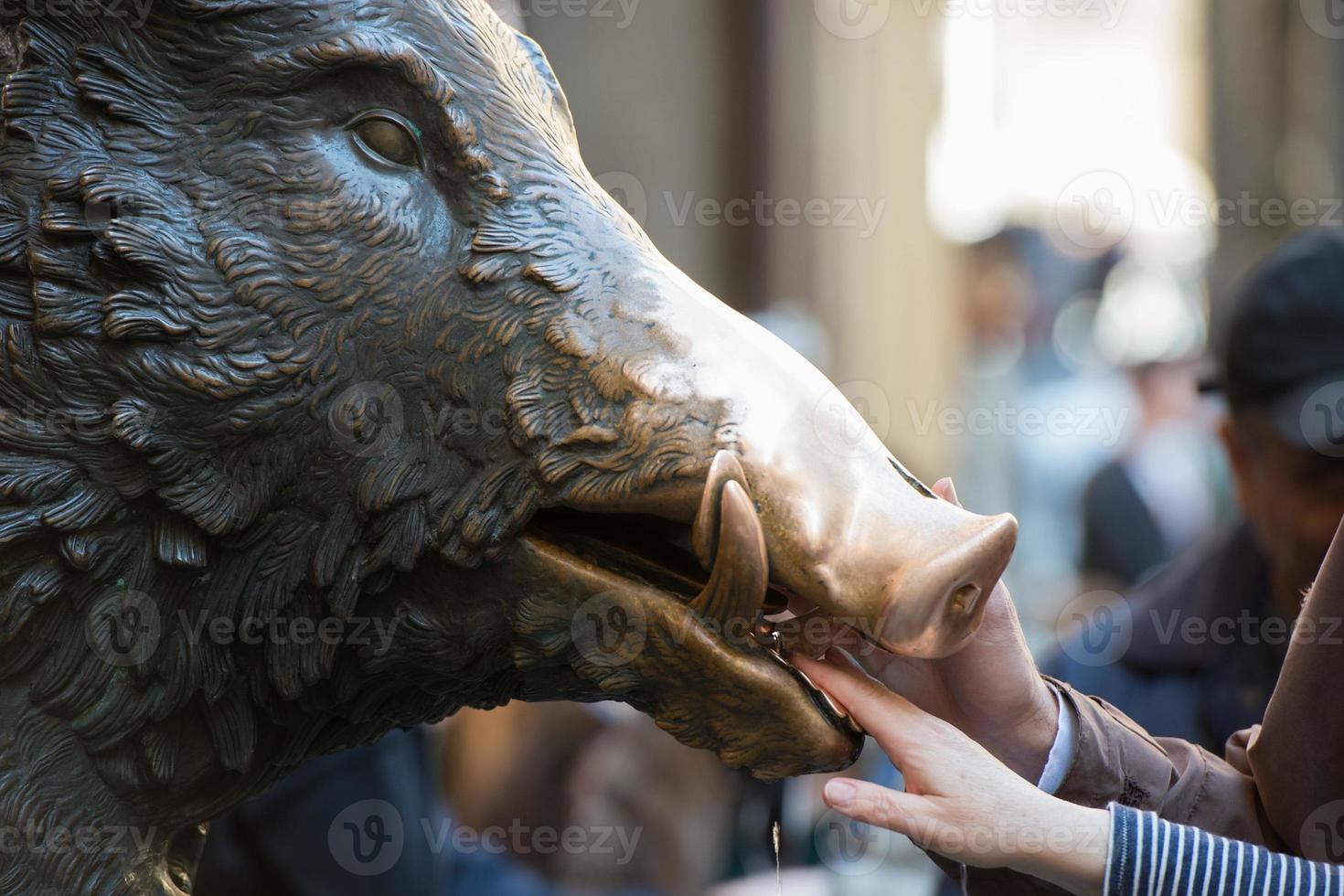 mano tocando jabalí de la fortuna en florencia foto