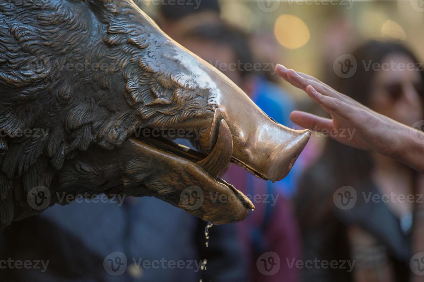 Hand touching fortune boar in Florence photo