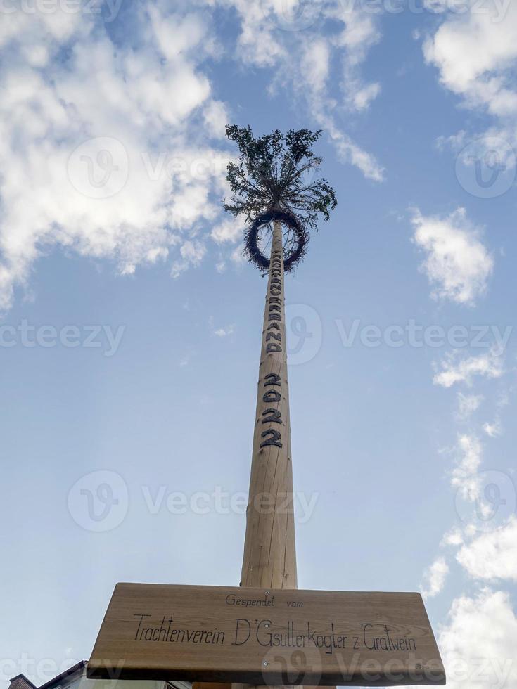 wooden maypole greasy tree pole in Graz Austria photo