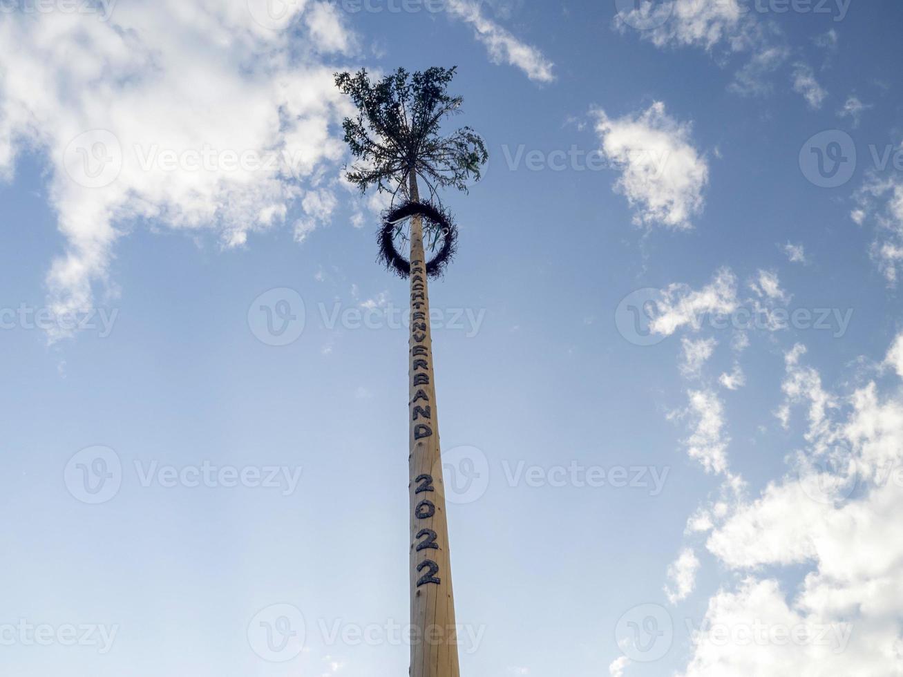 wooden maypole greasy tree pole in Graz Austria photo