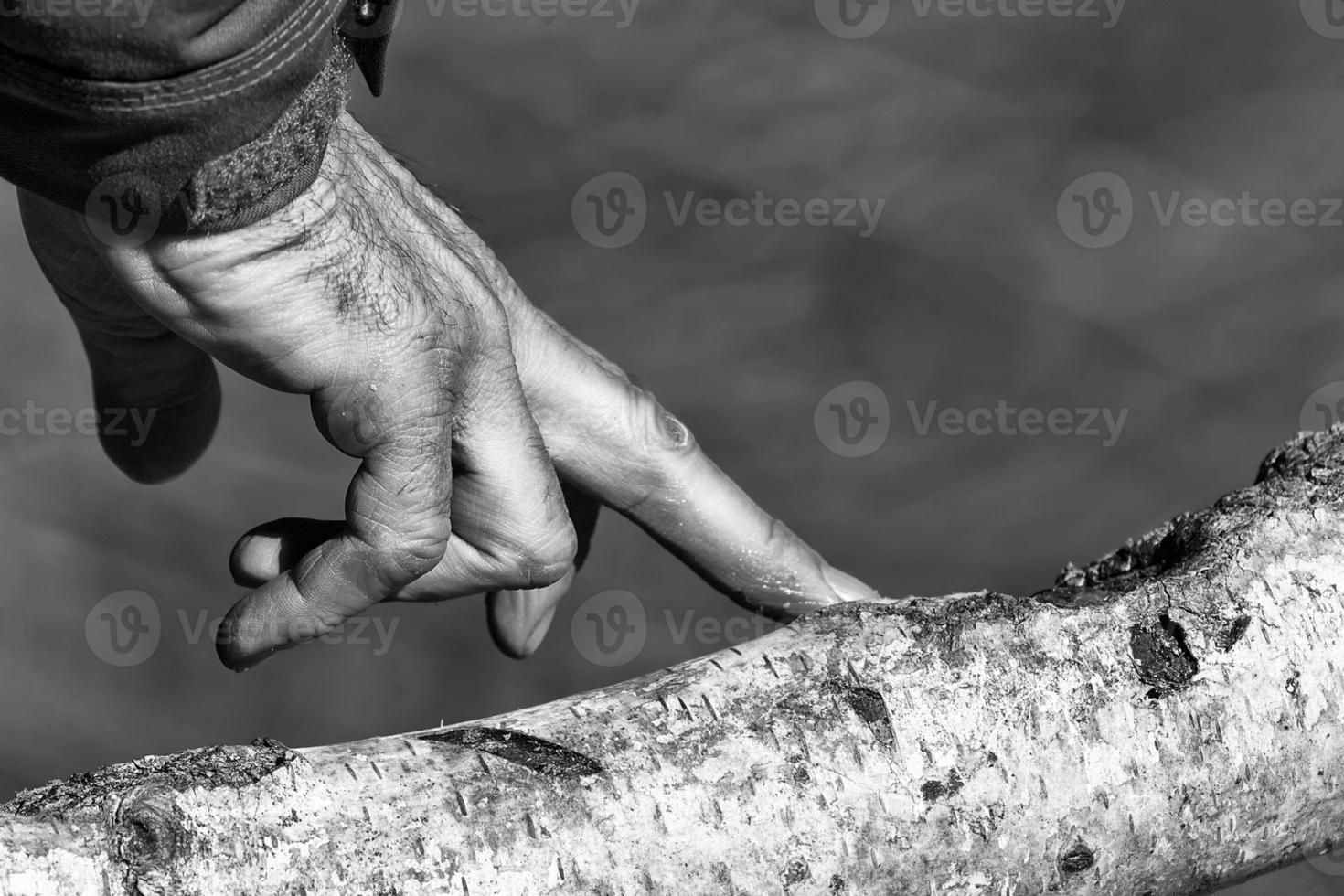 Hand of man on a tree in black and white photo