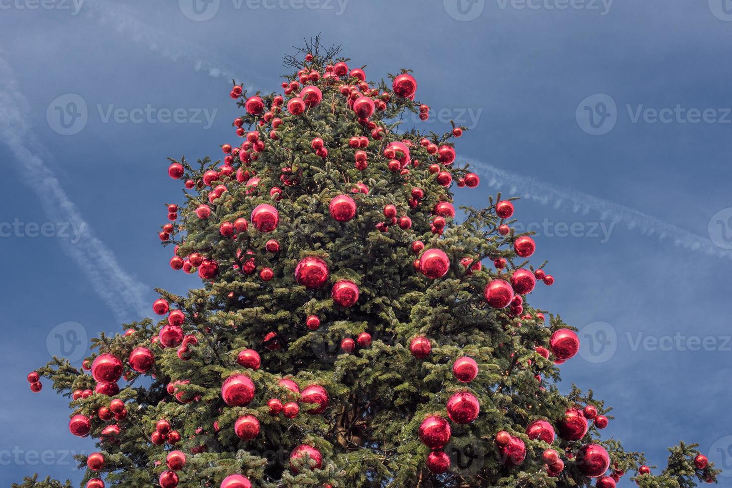 big xmas tree on blue sky background photo