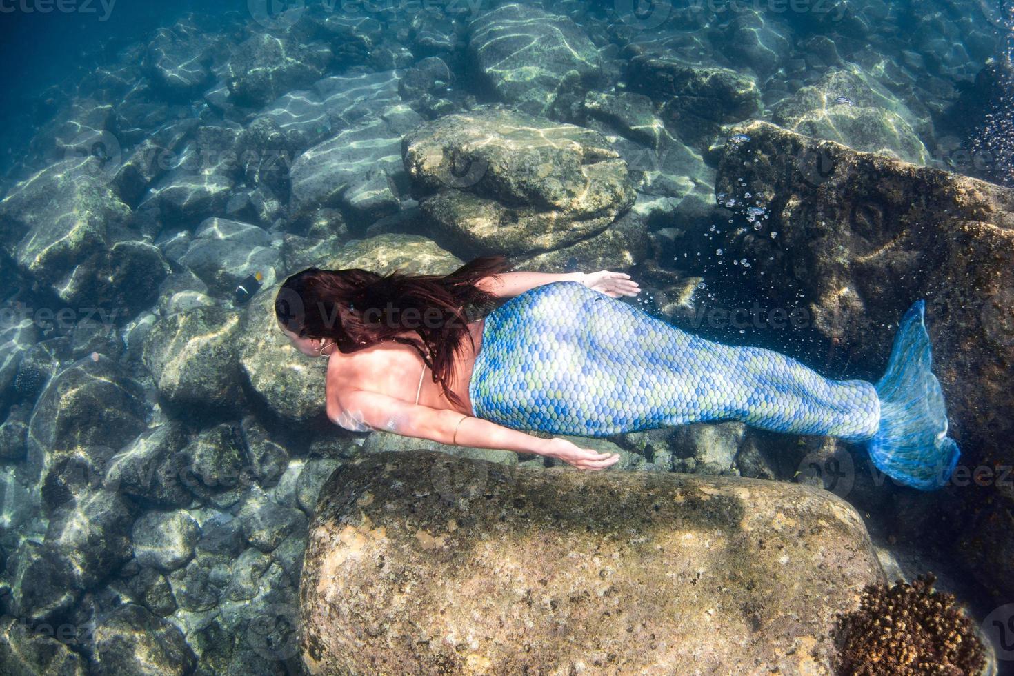 sirena nadando bajo el agua en el mar azul profundo foto