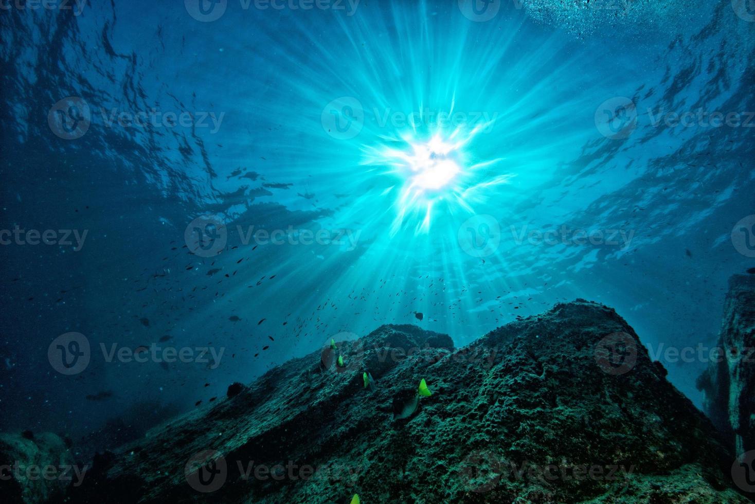 buceo en arrecifes coloridos bajo el agua en el mar de cortez de méxico foto